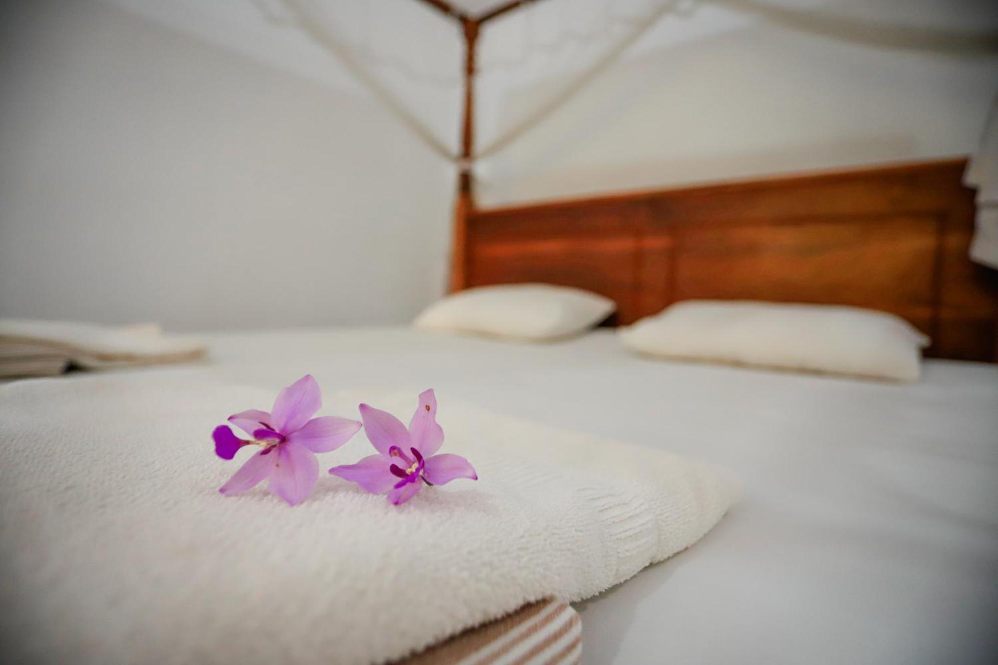Serene Home Stay اوداوالاوي المظهر الخارجي الصورة