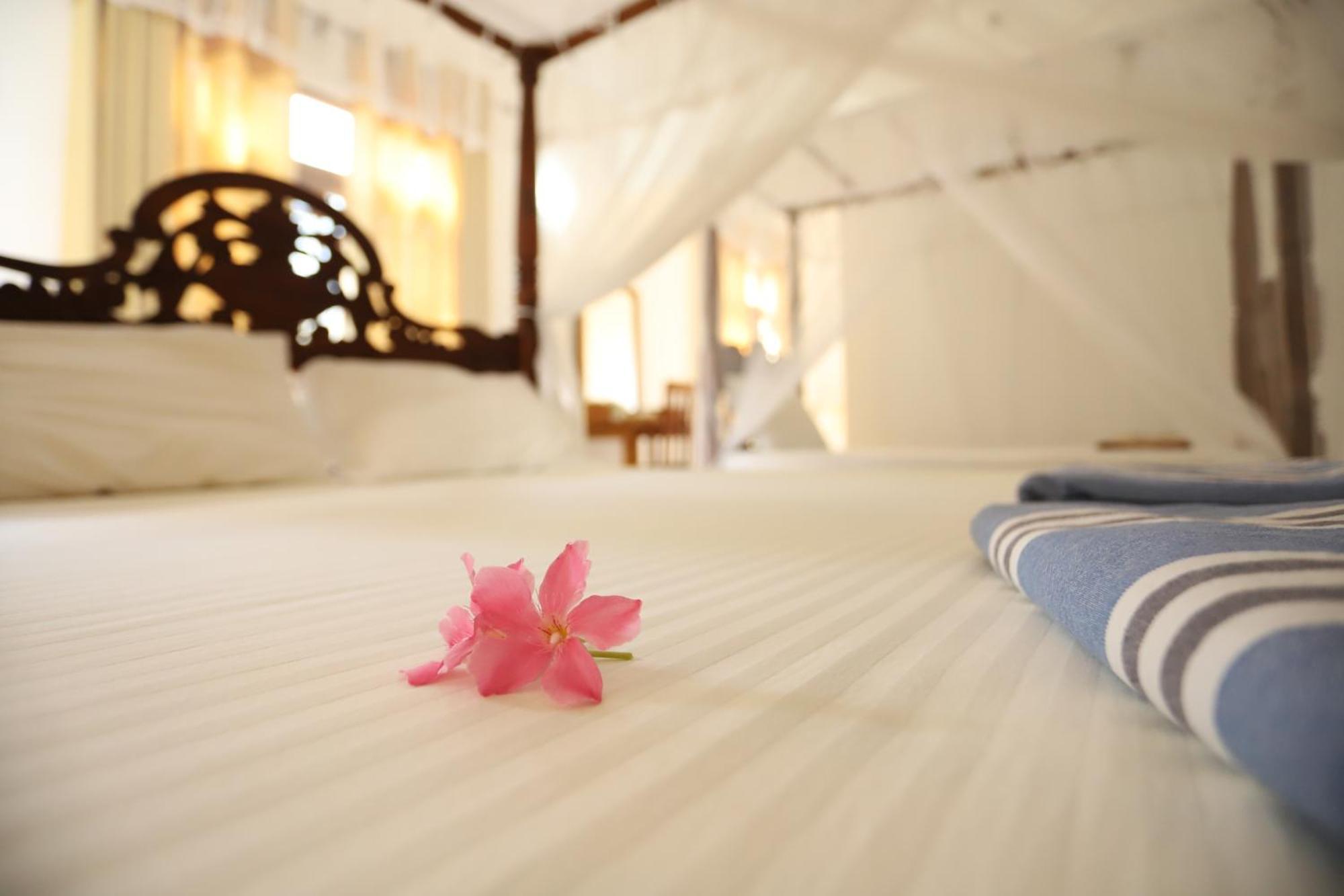 Serene Home Stay اوداوالاوي المظهر الخارجي الصورة